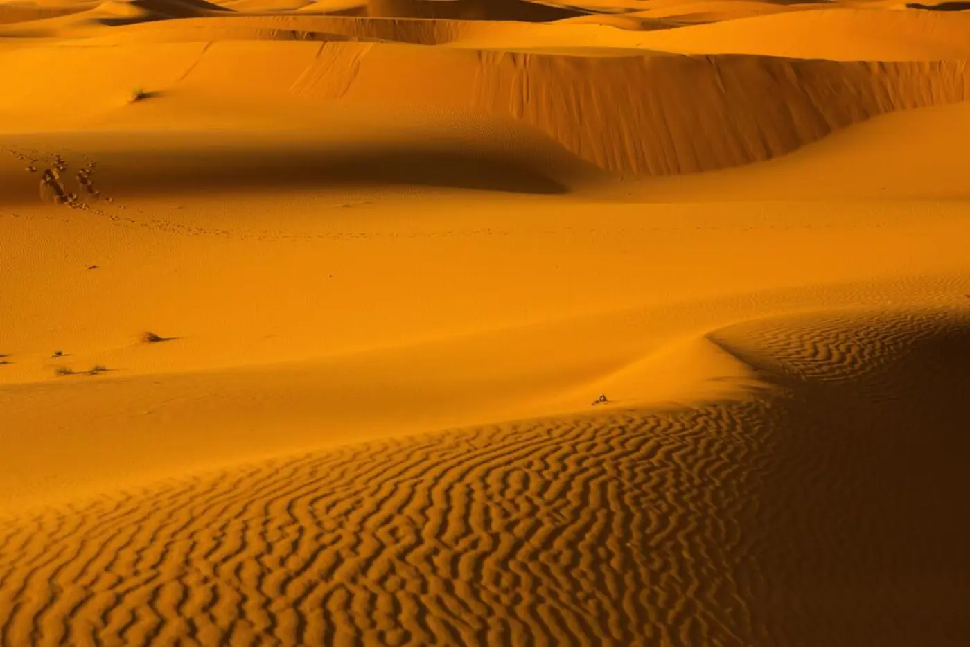 3 päivän Aavikkomatka Marrakechista Merzougaan